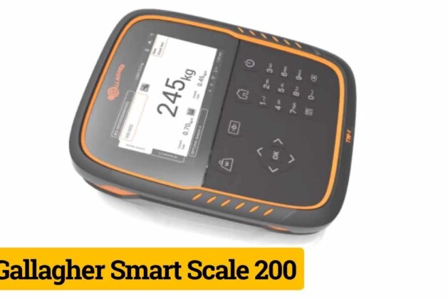 Gallagher Smart Scale 200: The Ultimate Fitness Powerhouse