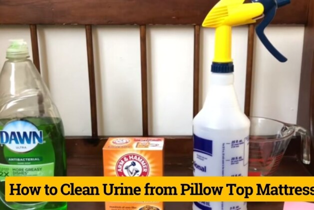 The Expert’s Advice: How to Clean Urine from Pillow Top Mattress?