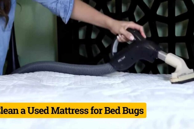 How to Safely Clean a Used Mattress for Bed Bugs: Proven Tips and Tricks