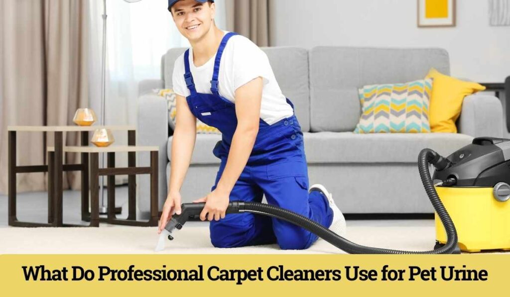 What Do Professional Carpet Cleaners Use for Pet Urine