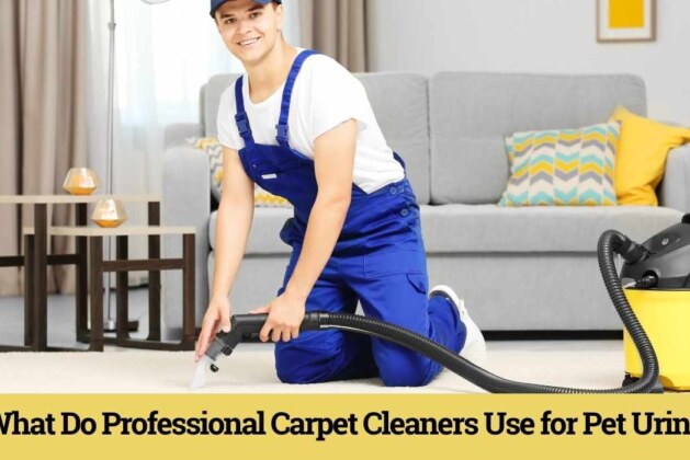 What Do Professional Carpet Cleaners Use for Pet Urine