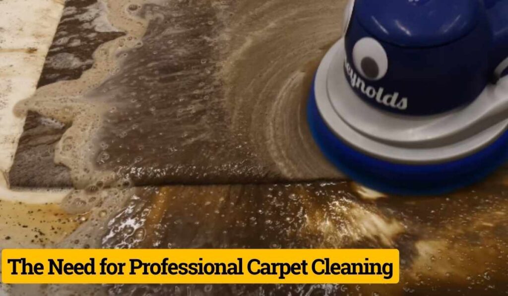 What Do Professional Carpet Cleaners Use for Pet Urine