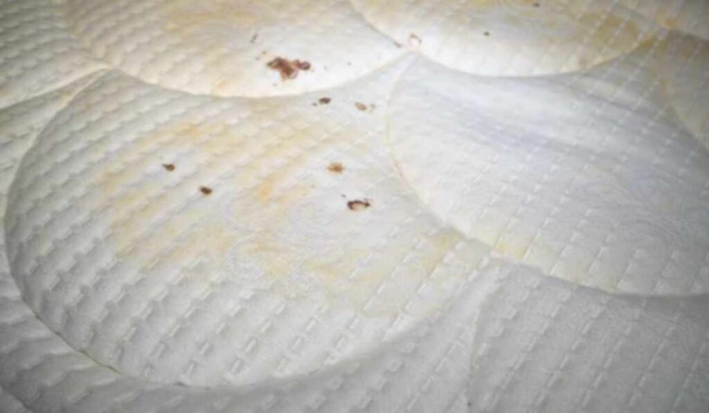 How to Clean Mattress When Child Wets the Bed