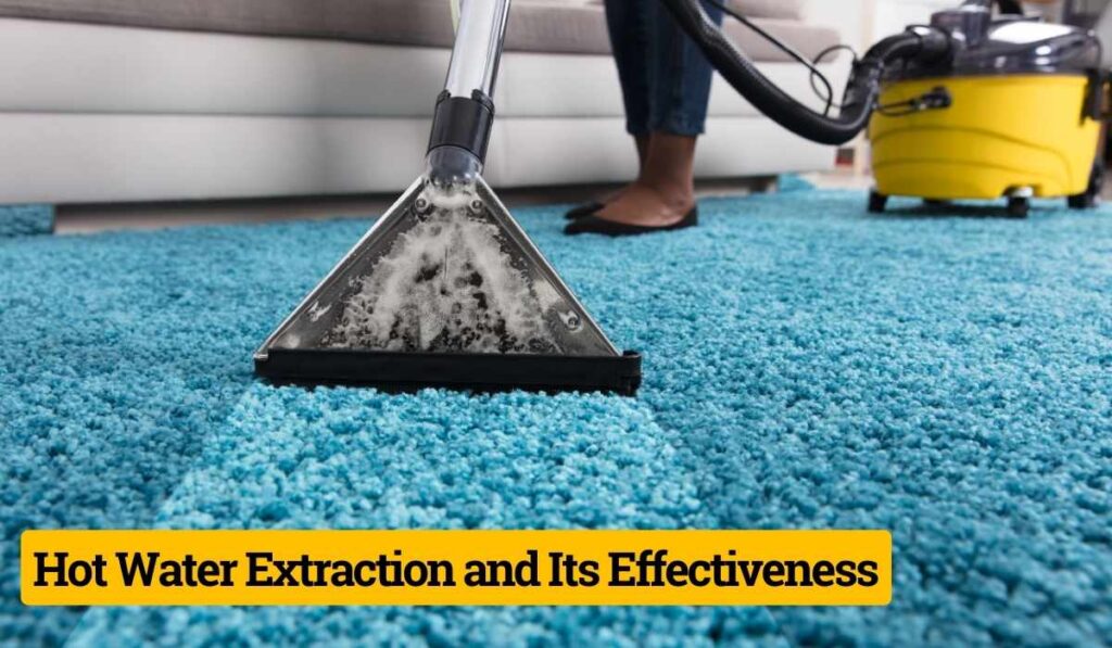 What Do Professional Carpet Cleaners Use for Pet Urine